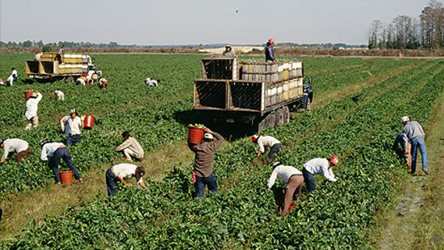 U.S. agriculture: Can it handle coronavirus, labor shortages and panic buying?