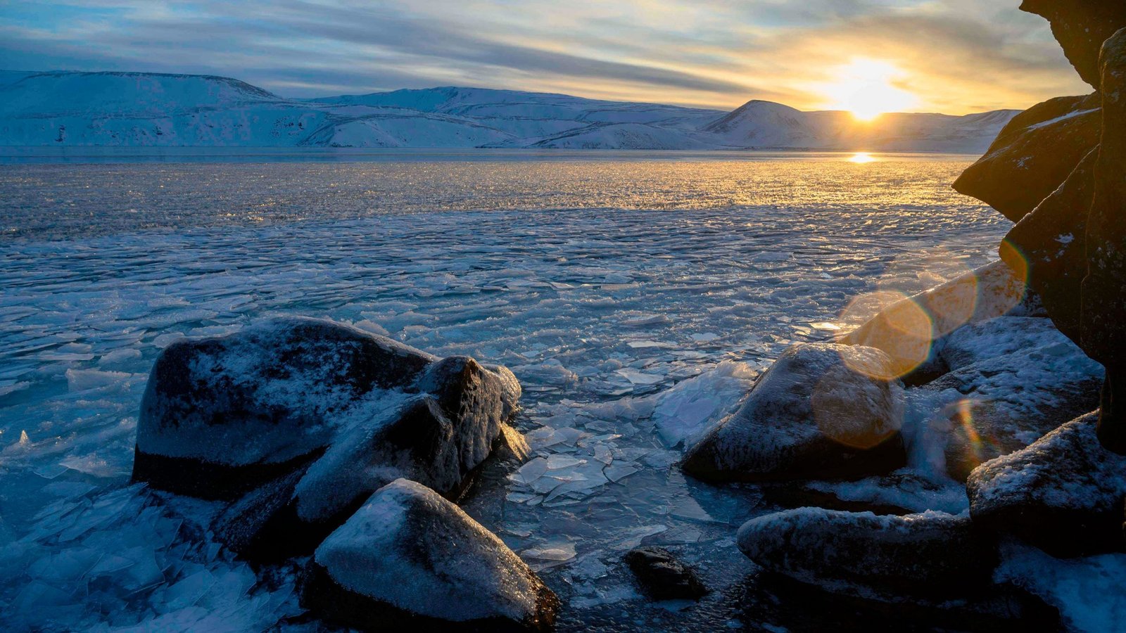 Iceland has tested more of its population for coronavirus than anywhere else. Here’s what it learned