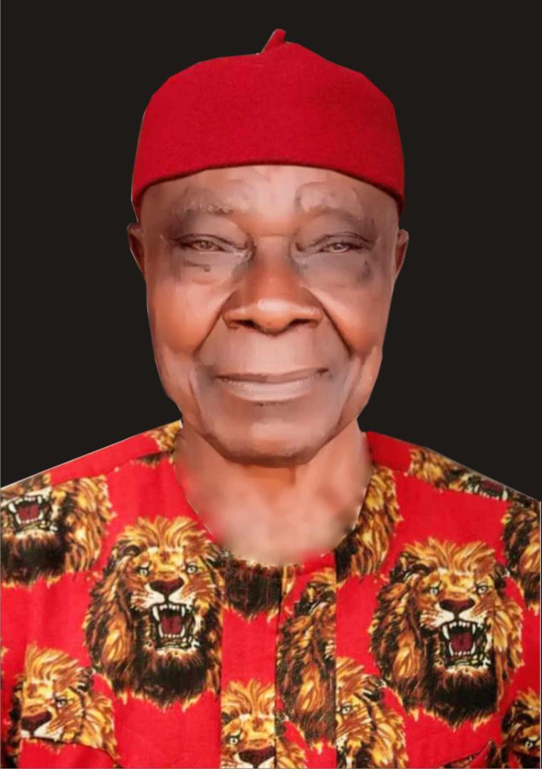 Ohaneze Ndi Igbo Youth Wing condoles with Rep Member Nkole… Applauds Nkole’s excellent performance