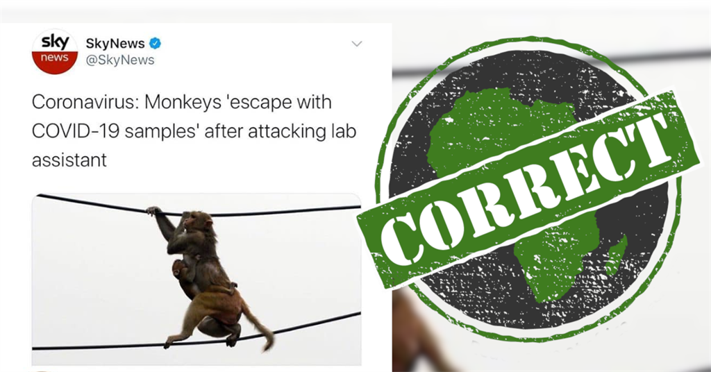 NOT FAKE | Yes, monkeys in India stole Covid-19 blood samples from lab assistant | News24