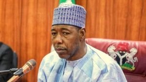 Sack Service Chiefs, Reps Caucus tells Gov. Zulum over attack on convoy