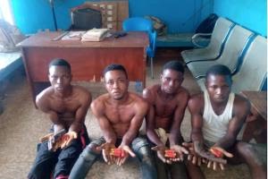 Fake Soldier, 328 Armed Robbers Arrested By Akwa- Ibom Police