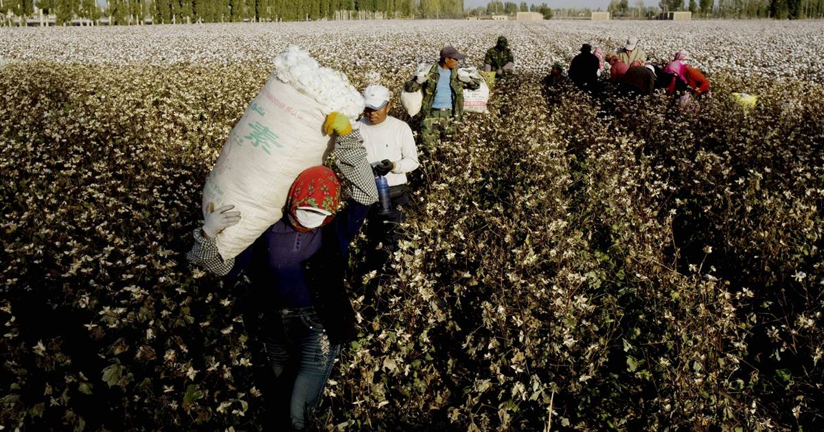 us blocks imports of xinjiang slave labor cotton