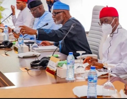 Southern Governors deliberately on 2023 presidential election