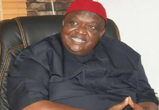 Release Nnamdi Kanu, New Ohanaeze leader Iwuanyanwu urges Buhari   *Vows to defend Igbo cause