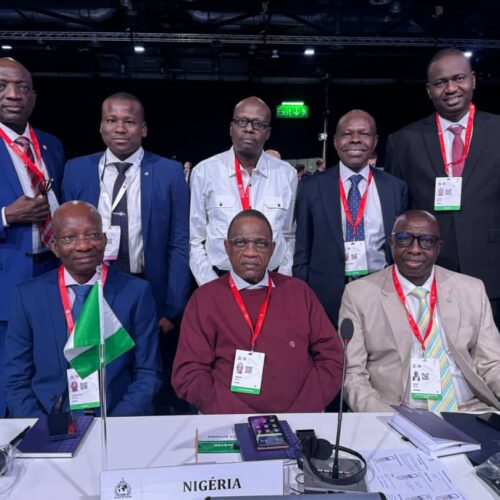 IGP Egbetokun, Delegates Storm 92nd Interpol General Assembly In Uk