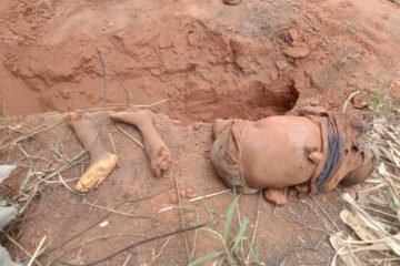 UPDATE: Photos of dismembered bodies of twin babies murdered by  uncle