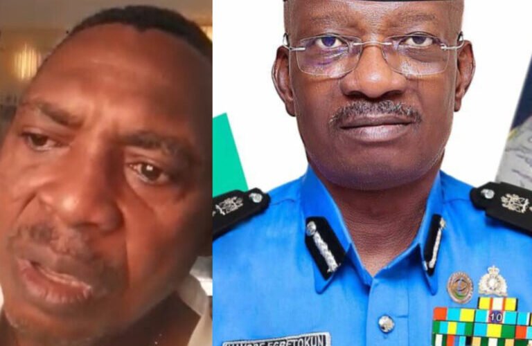 IGP Egbetokun Kayode Adeolu Egbetokun, Ph.D., NPM and a retired Superintendent of Police.