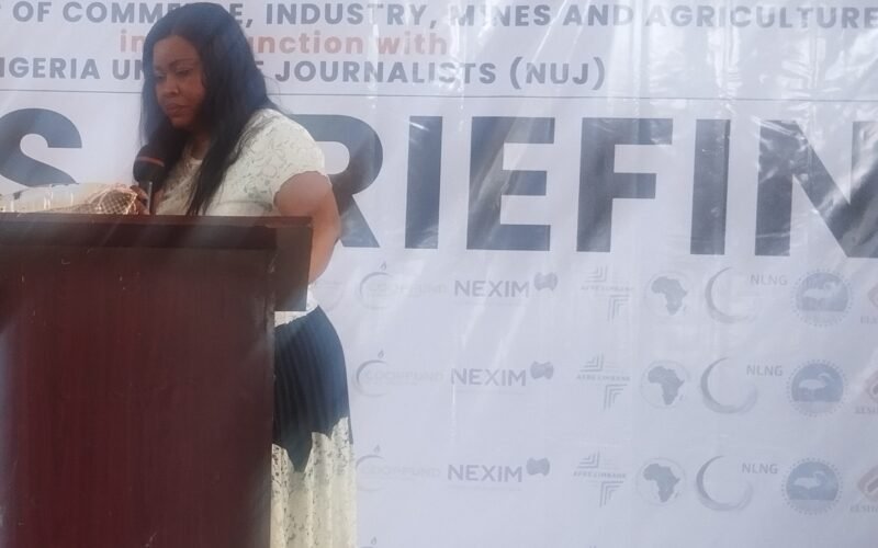 Mrs. Constance Ngozi Nwokejiobi, FCA