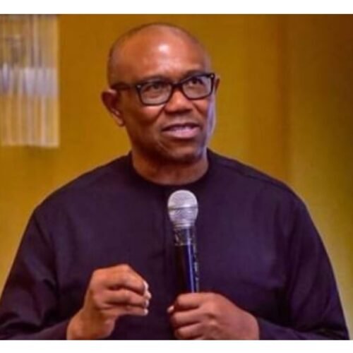 Peter Obi: GOMEP-NG Demands Probe Into Alleged Benue Road Blockade