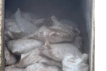 Customs intercept container of donkey genitals on Kaduna–Abuja road