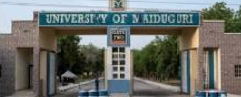 University of Maiduguri now known as University of Buhari.