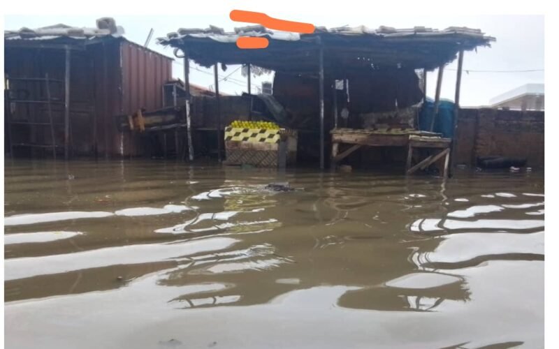The scene of flood mishap in Maiduguri, the capital of Borno State.