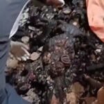The remains of late Mr. Chinedu who allegedly burnt mysteriously to death in the house of his master, in Enugu.