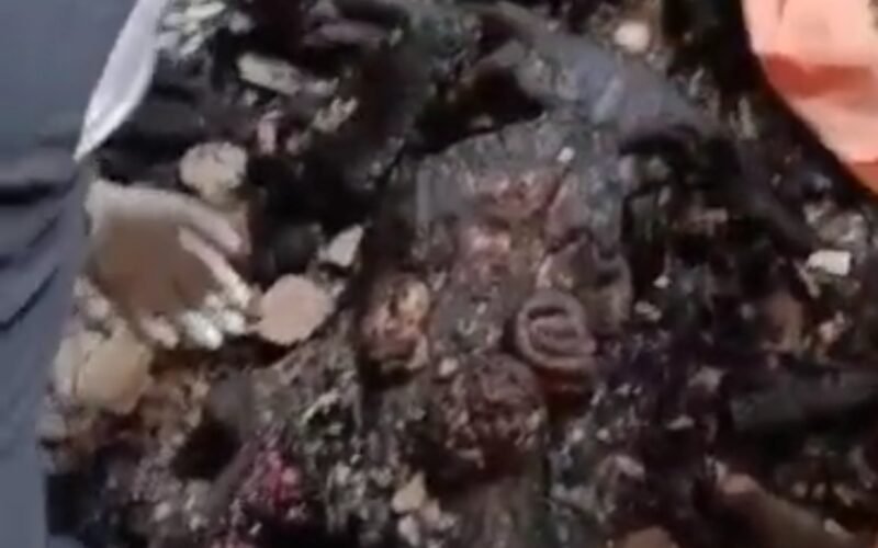 The remains of late Mr. Chinedu who allegedly burnt mysteriously to death in the house of his master, in Enugu.