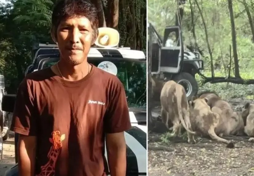 Rangkharasamee, a veteran Zookeeper