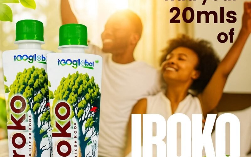 iGoglobal, Iroko African Root.