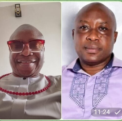 Otiti, Uba Emerge Acting President, National Secretary of GOMEP