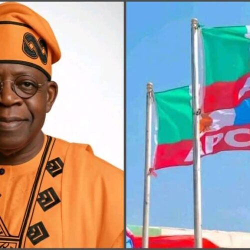 Tinubu Sweeps Abia APC Presidential Primary With 161,005 Votes