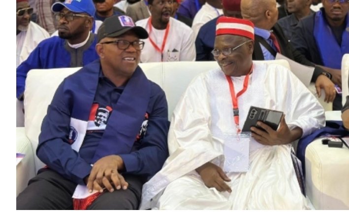 Peter Obi and Rabiu Kwankwaso named among the leading figures in the NDC. Photo: X@NigeriaNDCHQ
