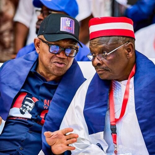 Peter Obi, Kwankwaso Adopted as 2027 Presidential Ticket by Nigeria Diaspora Wazobia Movement