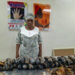 A 67-Year-Old Nigerian-British Grandmother with 13kg Cocaine Hidden in Fake Plantain.