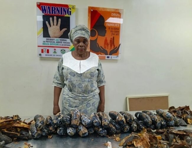 NDLEA Arrests 67-Year-Old Nigerian-British Grandmother with 13kg Cocaine Hidden in Fake Plantain