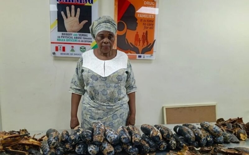 A 67-Year-Old Nigerian-British Grandmother with 13kg Cocaine Hidden in Fake Plantain.