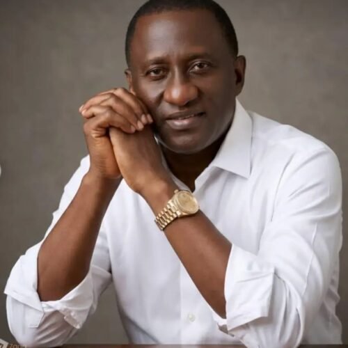 Dr. Uchechukwu Sampson Ogah: A Business Titan, Philanthropist and Builder of Lives
