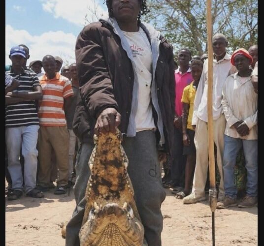 Mola Simona, a Zimbabwe man who reportedly killed a suspected crocodile with a spear after two young women from the same family died in separate attacks on the Zambezi River within four days.